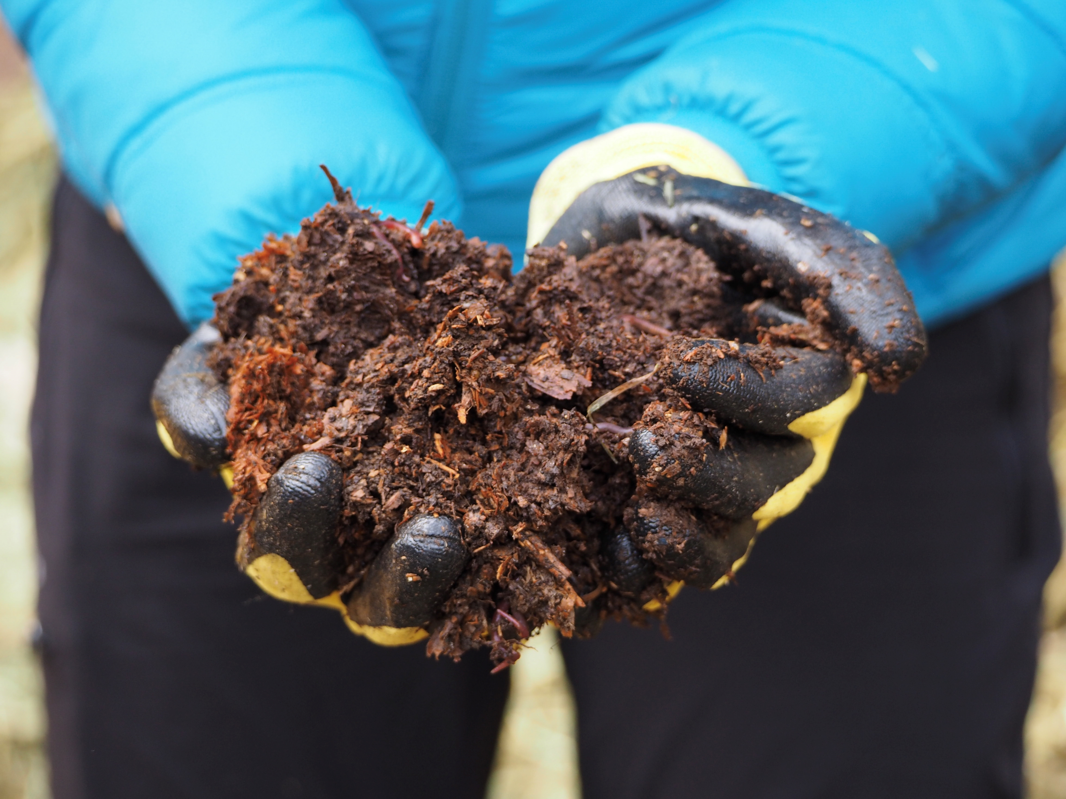 Habitat volunteer holding composted soil