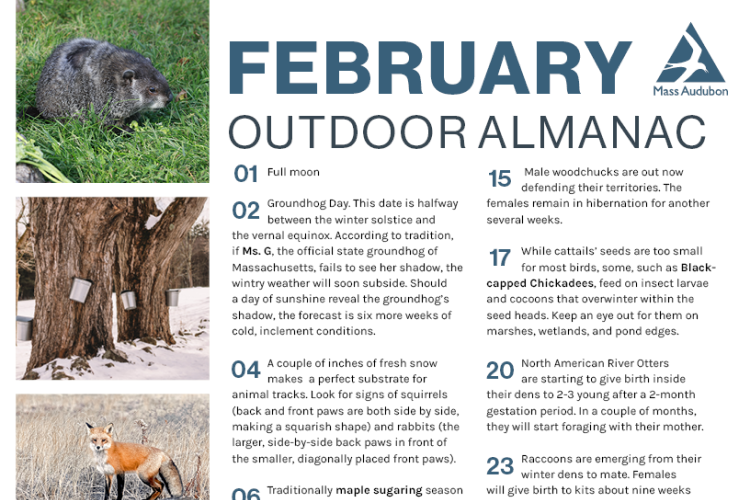 February 2026 Outdoor Almanac Preview