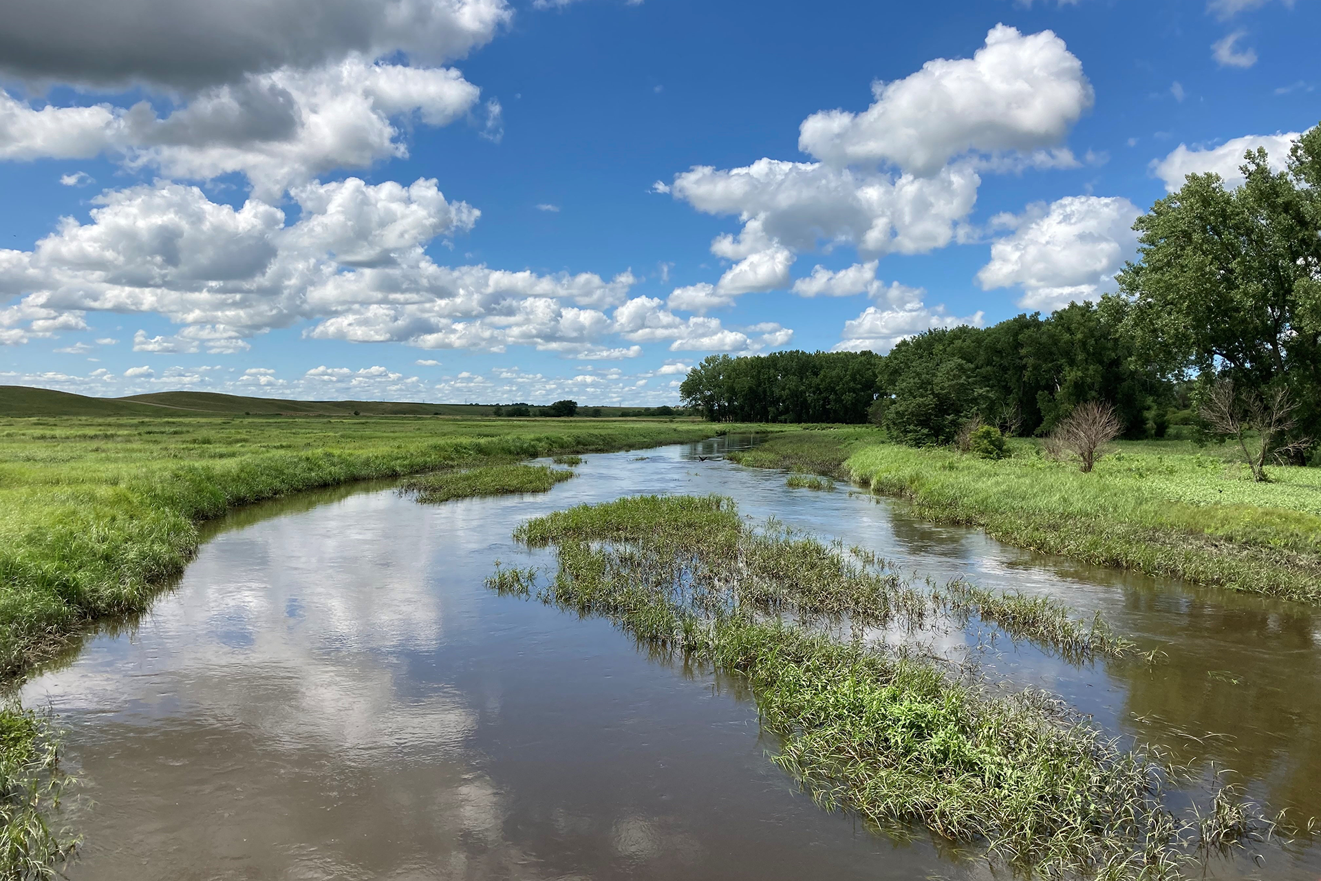 A marshy channel surrounded by grass and trees.