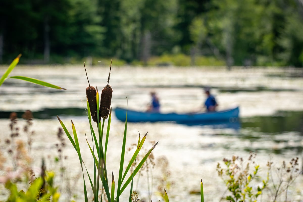 Canoe at Wachusett Meadow