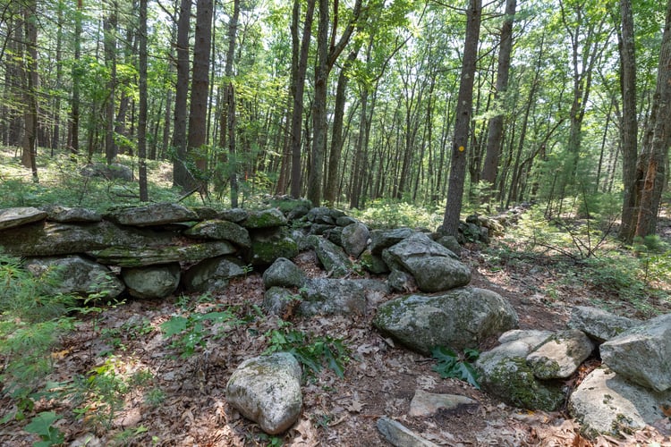 A T-intersection of an old, toppling rock wall in the forest.