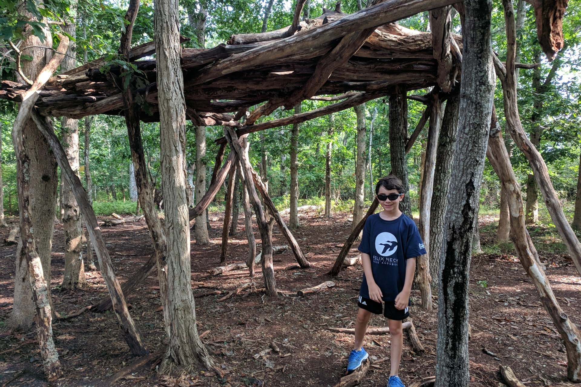 boy standing under fort of branches