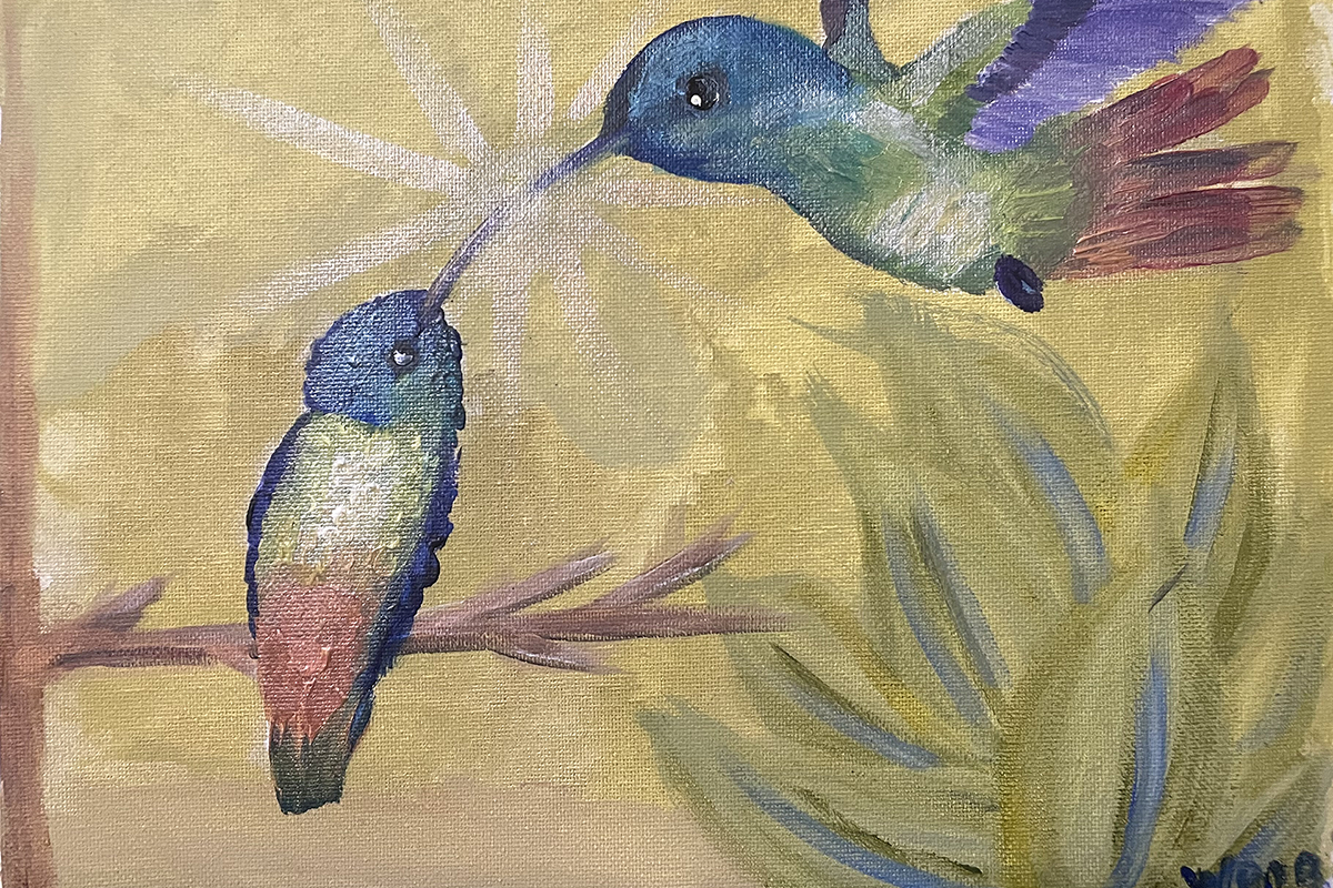 Wednesday Bucco_Golden-tailed Sapphire1920.png