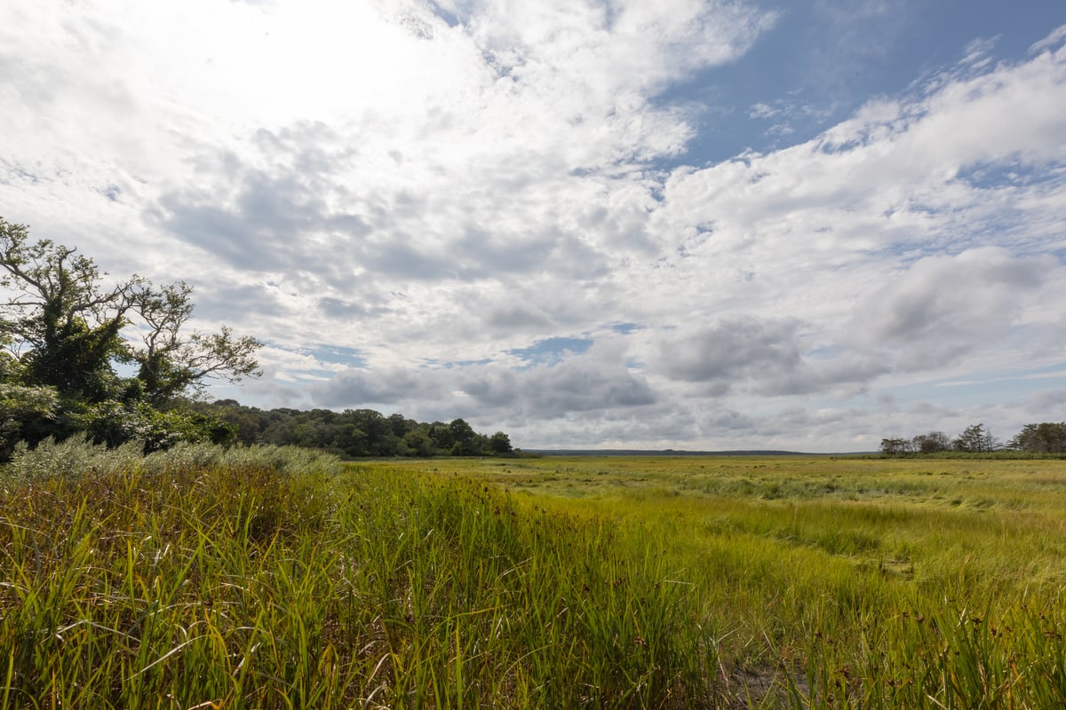 Marsh at Barnstable Great Marsh