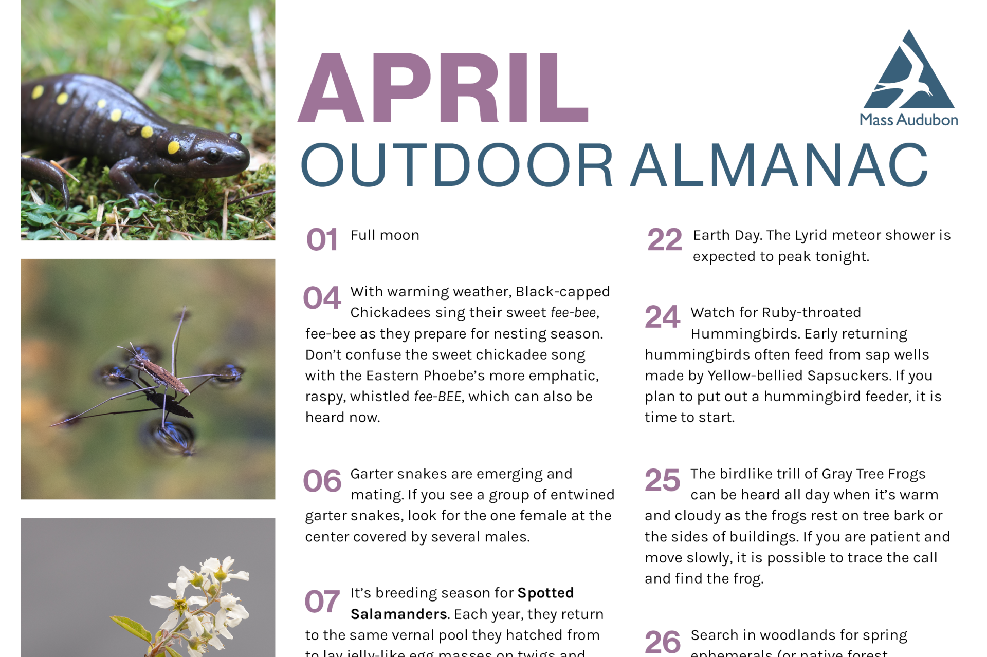 Preview of april outdoor almanac