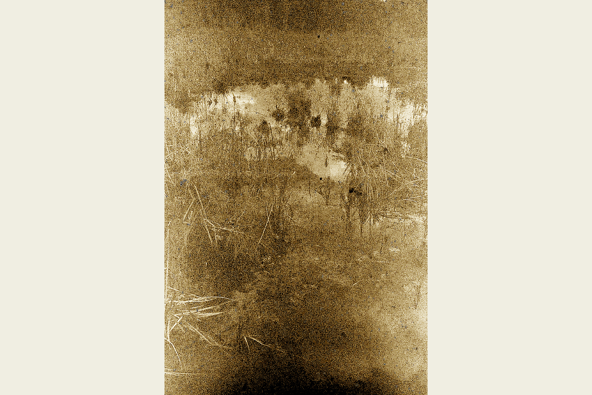 Sepia photograph of the edge of a pond © Randy Johnson