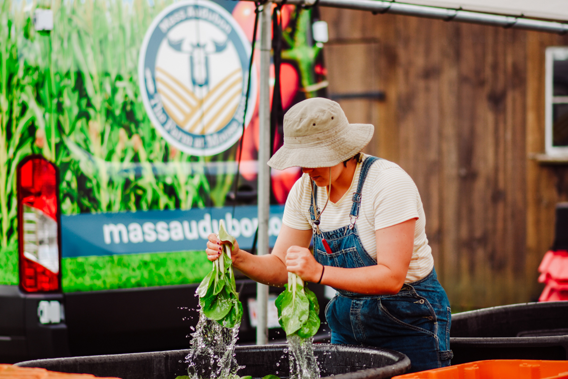 CSA worker washing two handfuls of spinach