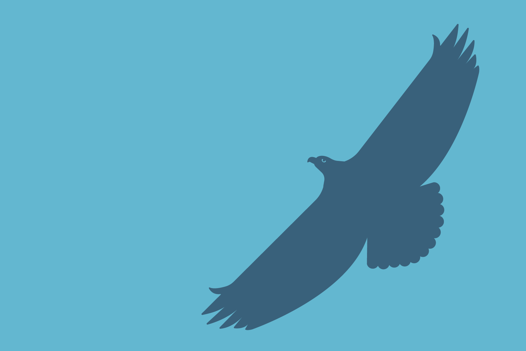 bald eagle two tone graphic