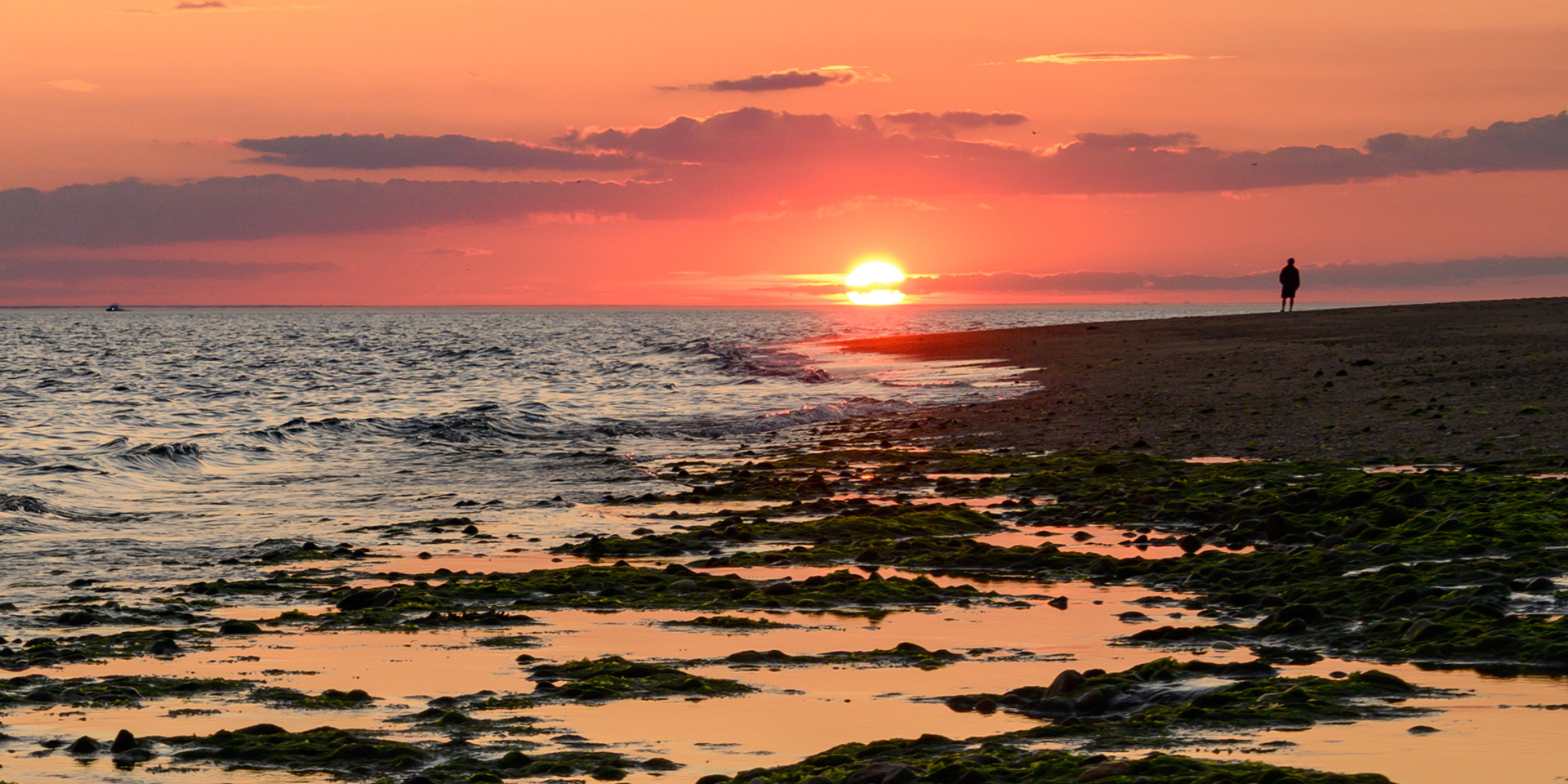 A lone person standing on a beach in the far distance, watching a golden sunrise as it kisses the horizon over the ocean, turning the sky orange