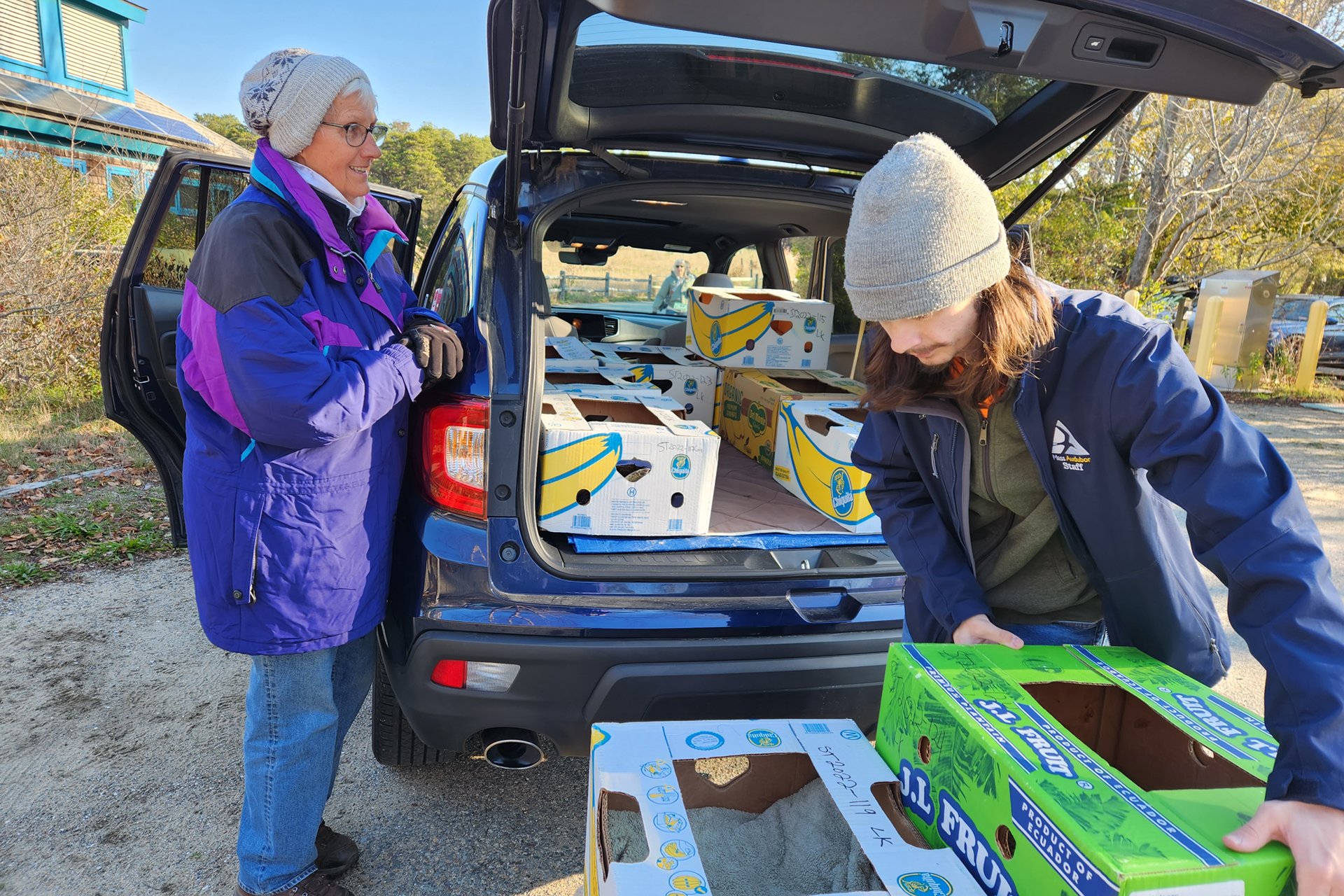 Wellfleet Bay staff preparing turtles in their boxes for transport