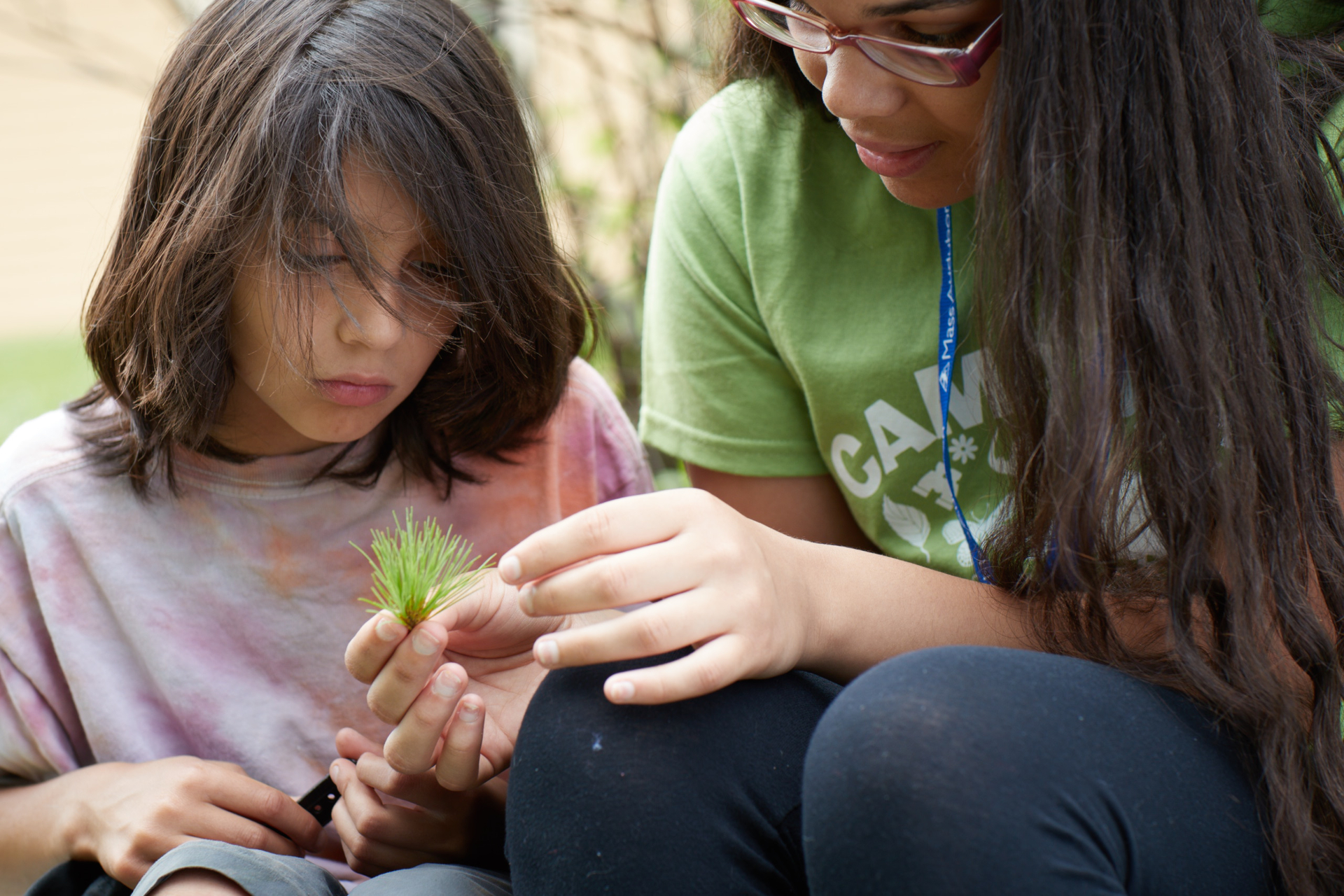 A counselor-in-training at Boston Nature Center Camp shows a camper a small bunch of conifer needles