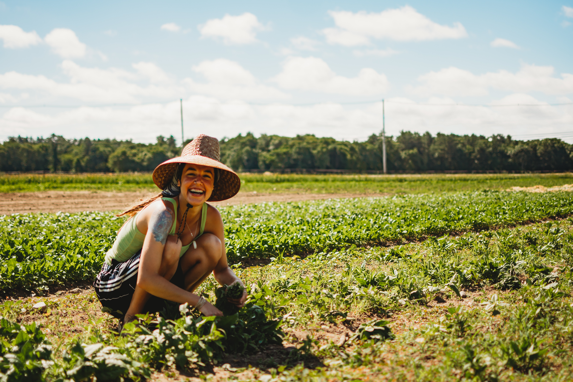 Volunteer picking greens at Drumlin Farm, smiling towards the viewer