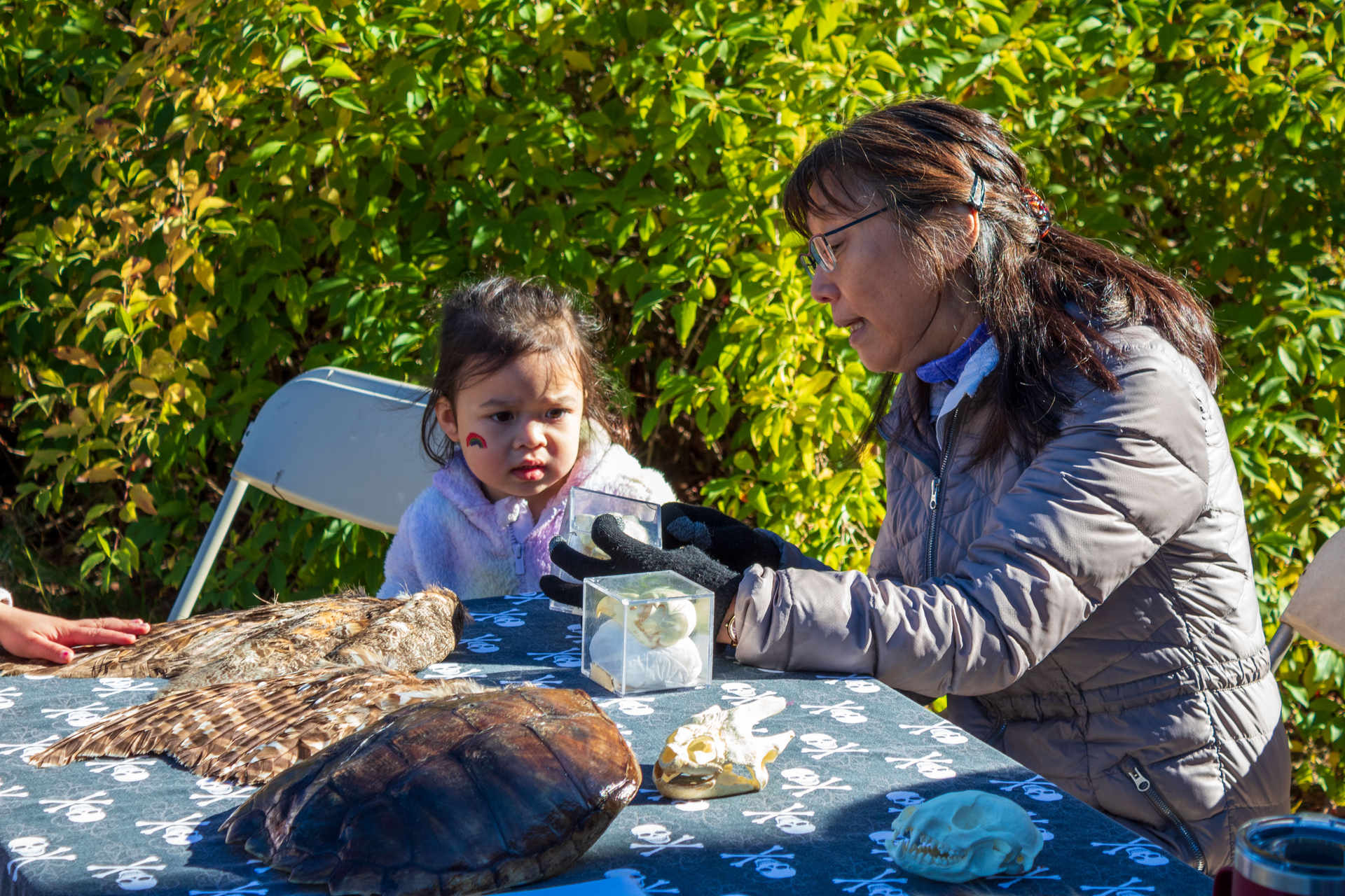 Educator pointing out features on a display for a small child