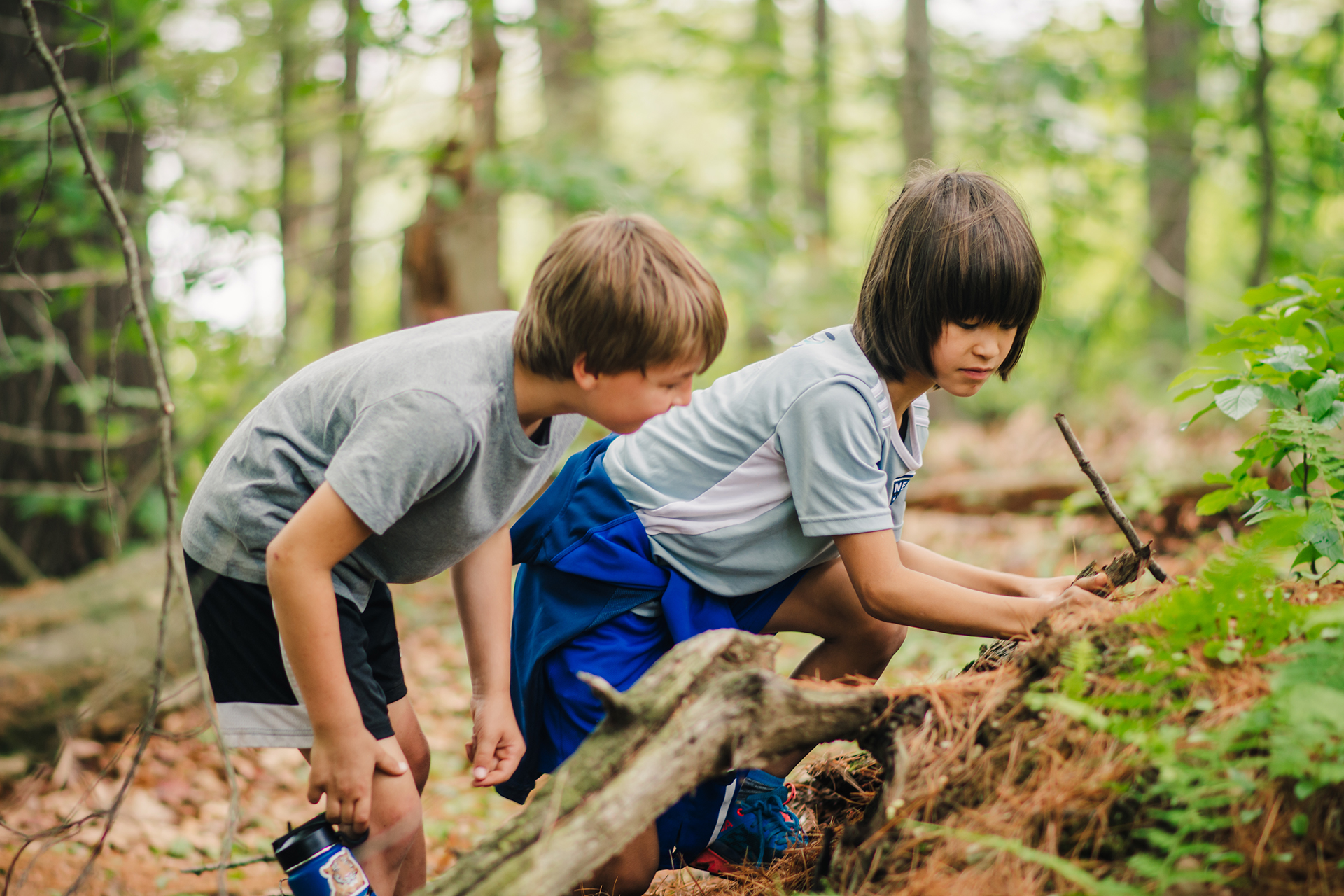 Two campers inspecting something in the woods, hidden from the camera behind a small pile of dirt