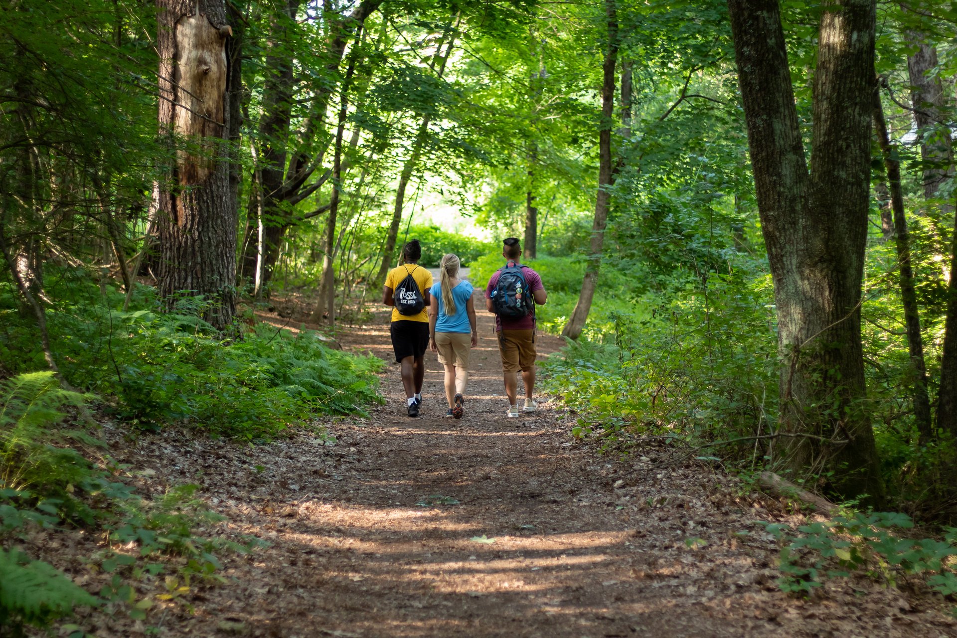 Three adults walking on a trail