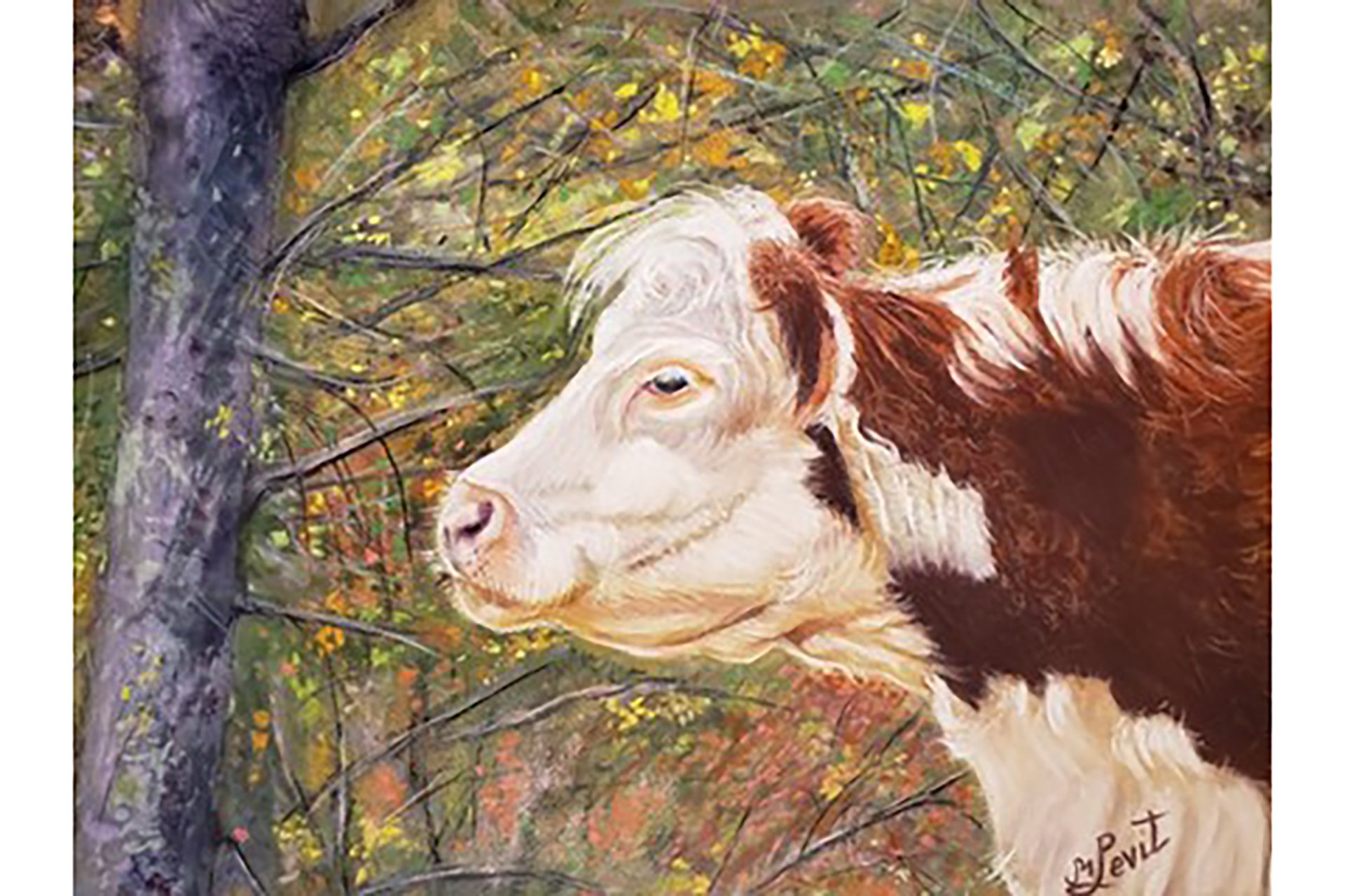 WSA Art 2-large.jpg