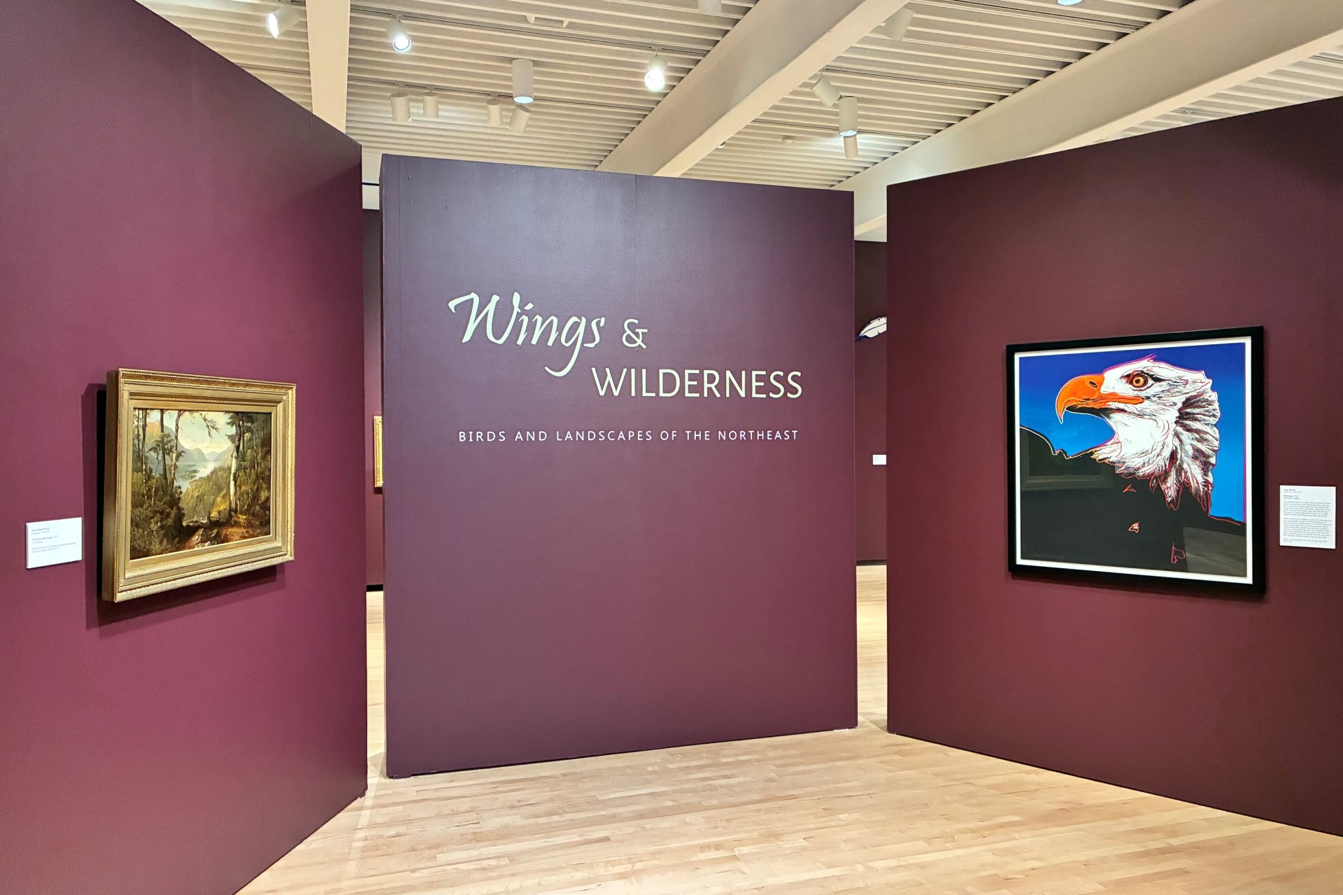 Hyde Wings and Wilderness exhibit