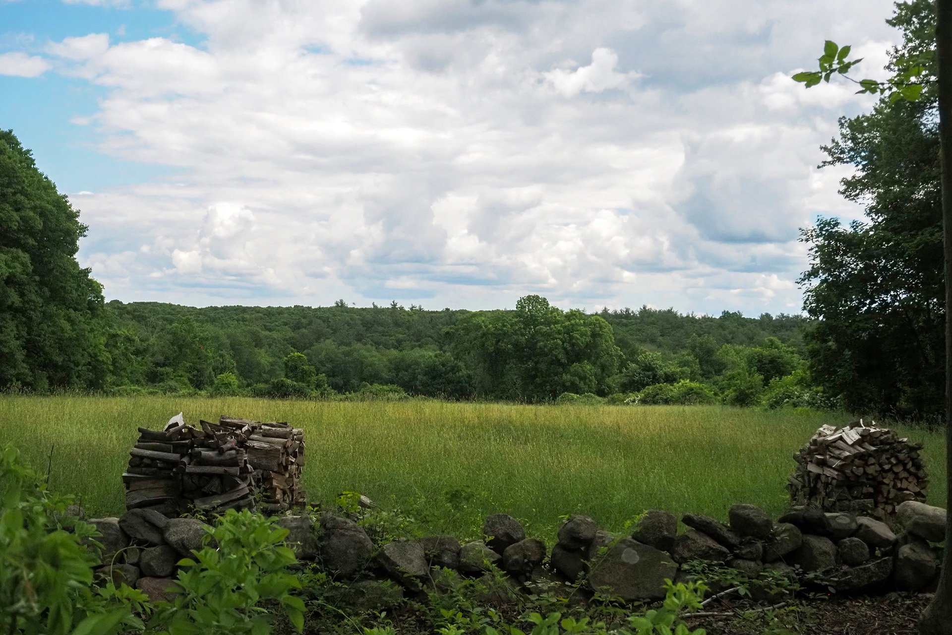 View of Maple Farm Field