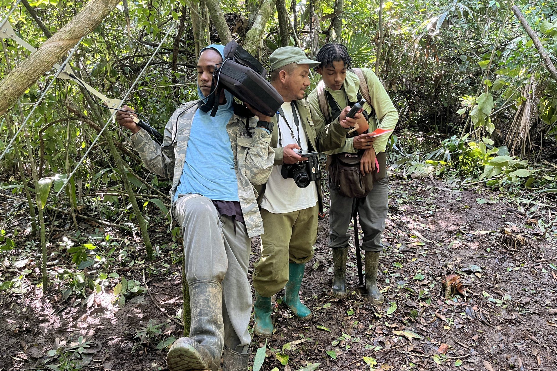 Staff tracking birds in forest