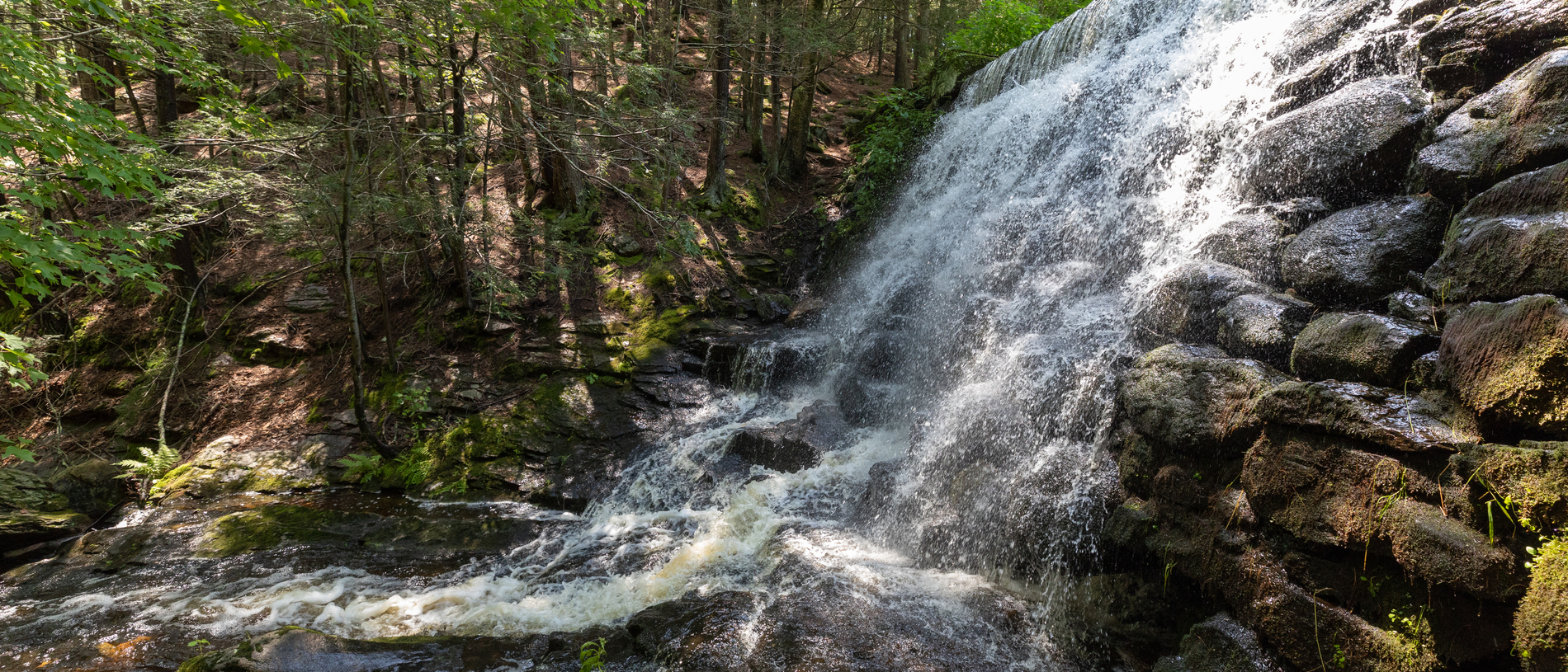 White waterfall tumbling down a wall of rocks. A green forest is on the other side of the bank.