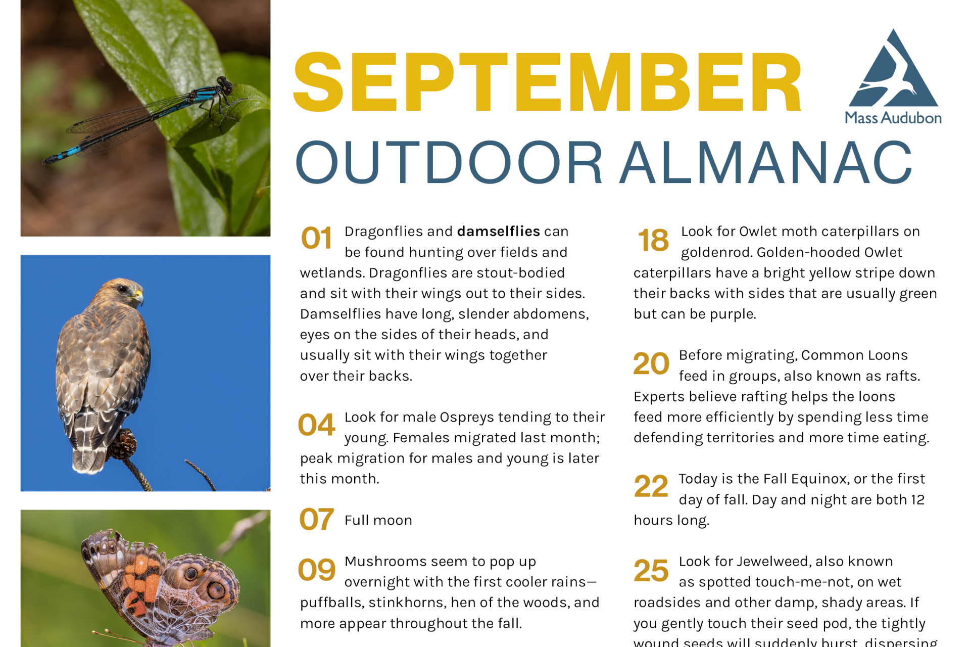 preview of September 2025 Outdoor Almanac