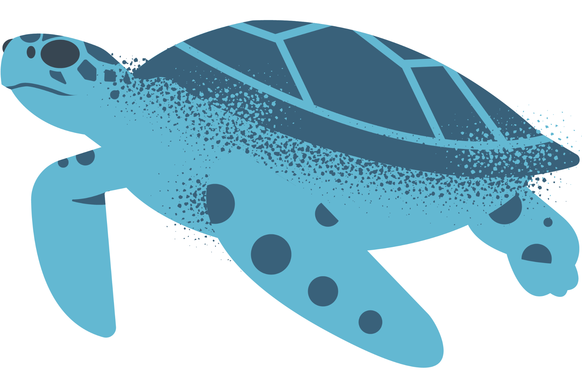 kemps ridley graphic