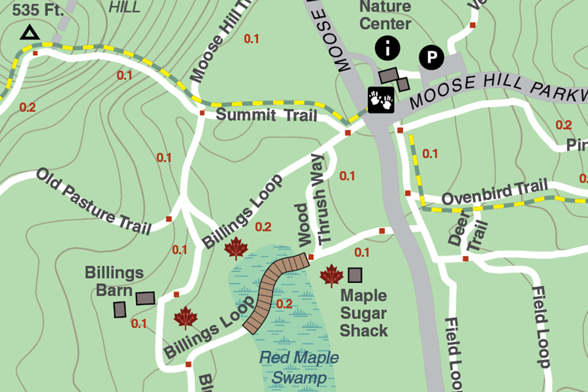 Isolated section of Moose Hill's trail map - with the Billings Loop and Maple Sugar shack highlighted by maple leaf icons, close to the center