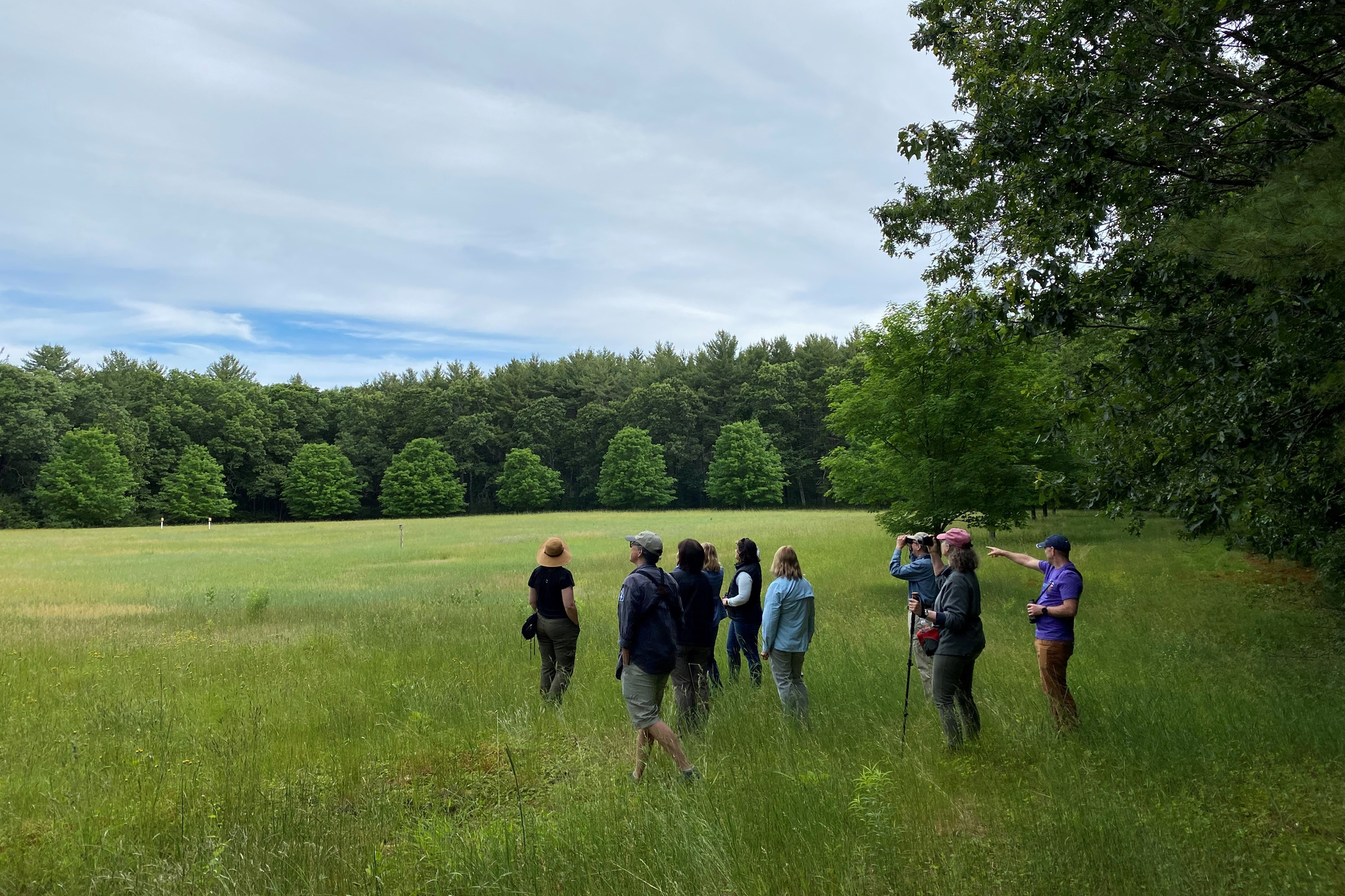 A dozen people looking out across a meadow surrounded by forest.