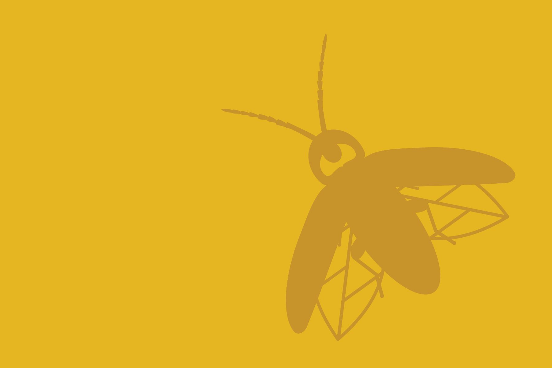 Firefly two tone graphic