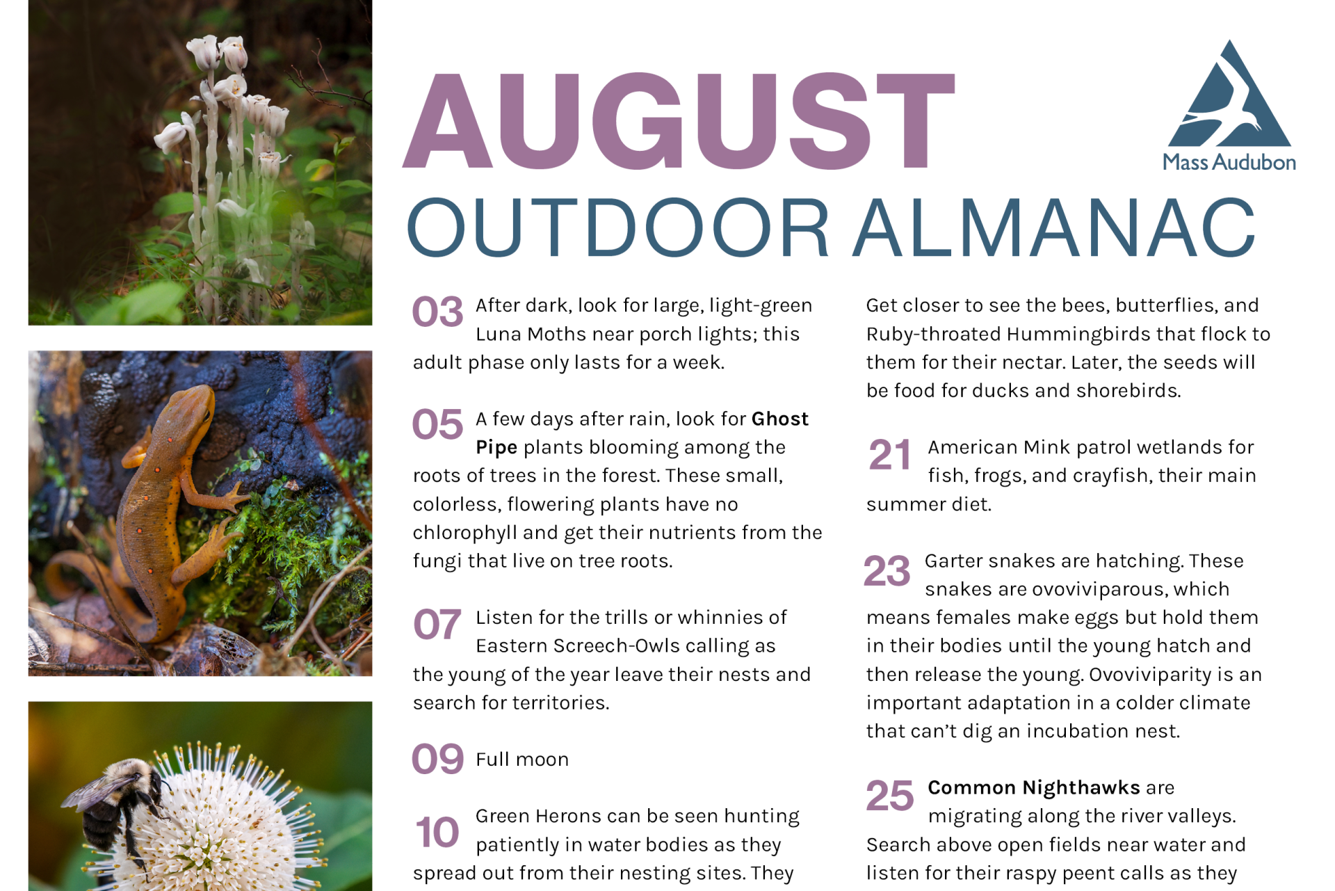 Outdoor Almanac preview