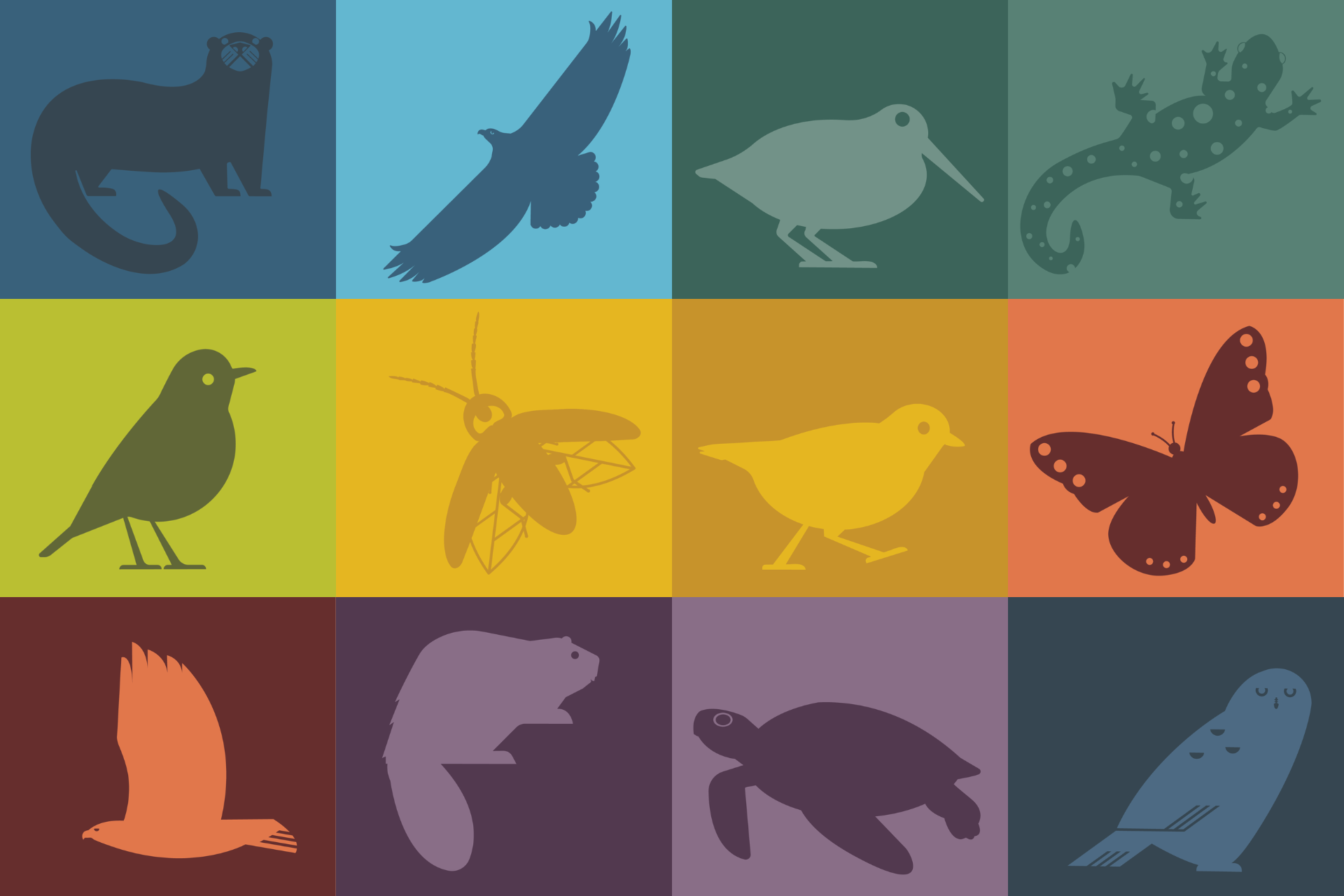 grid of colorful two tone animals