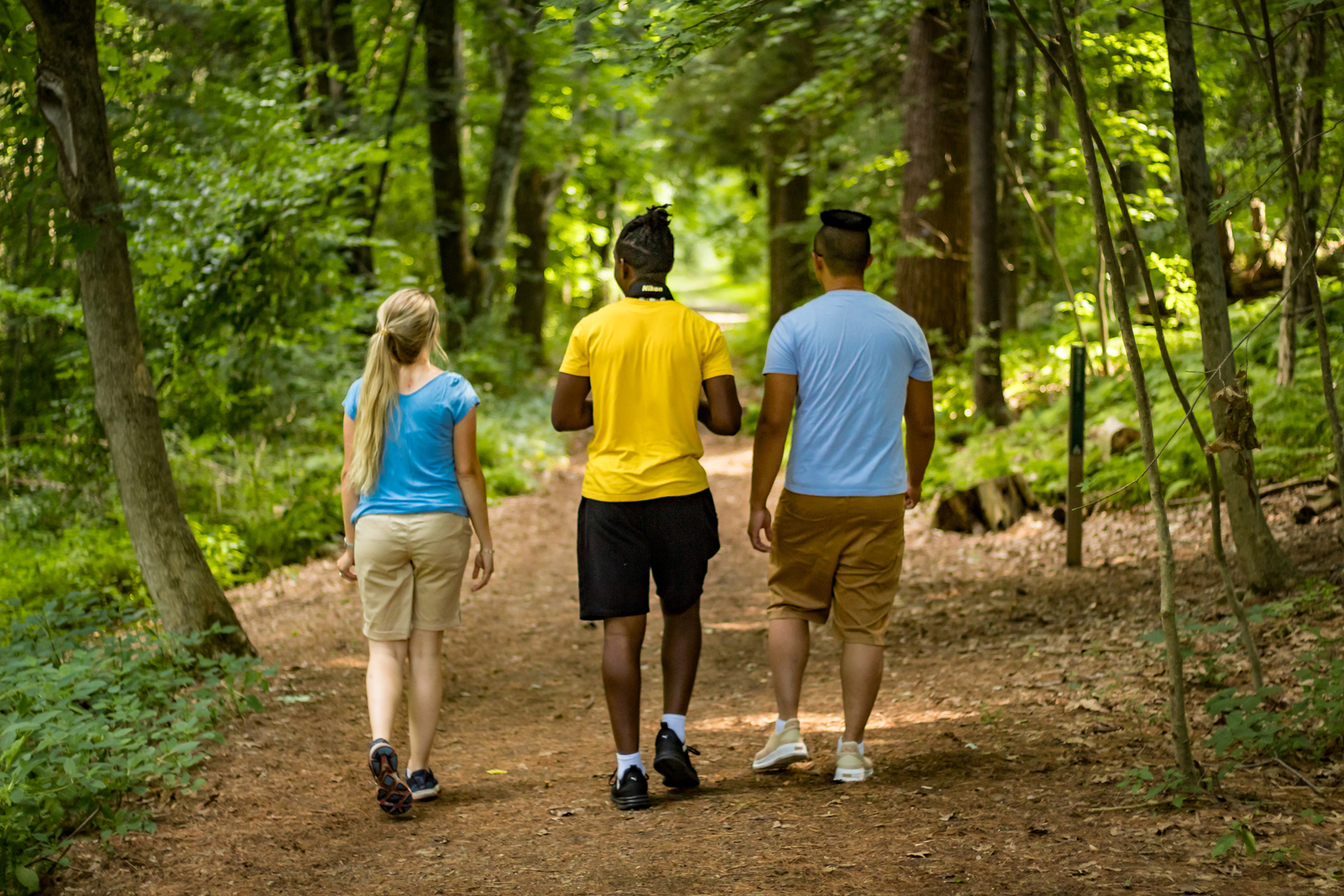 Three people walking on a shaded trail