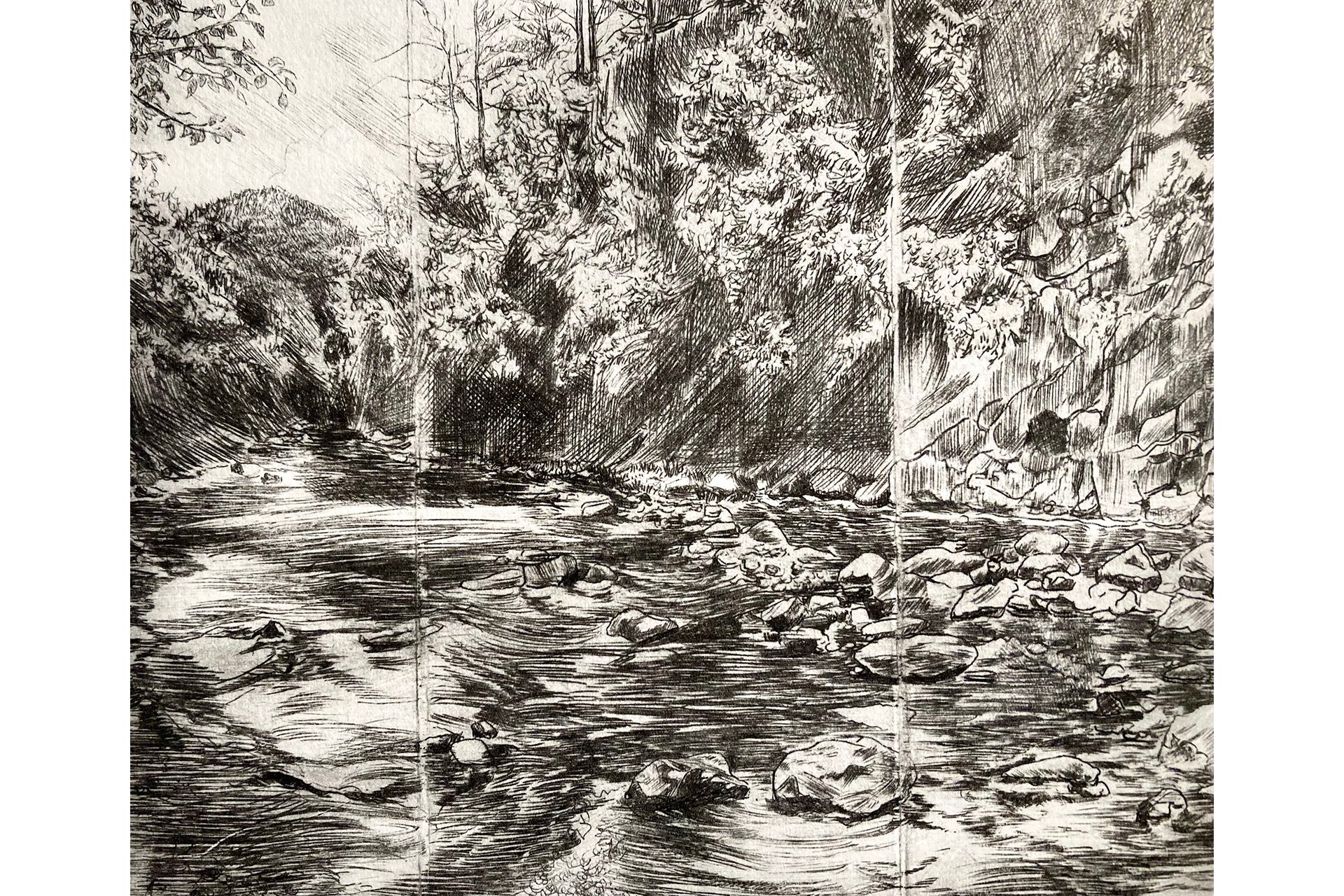Black and white drypoint illustration of a riverbank