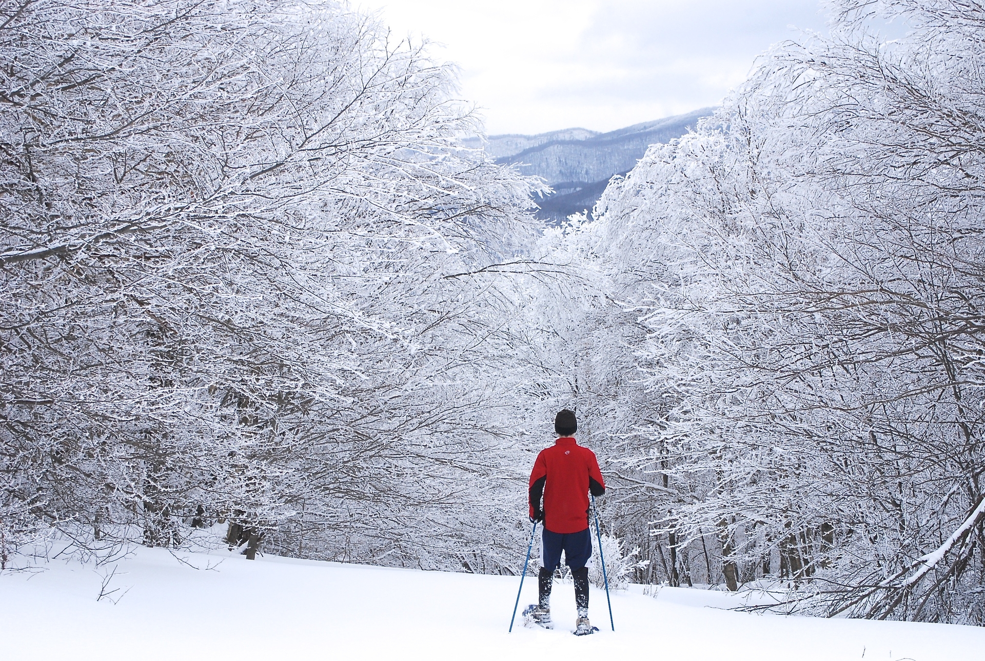 Cross Country Skier looking out over snow covered landscape