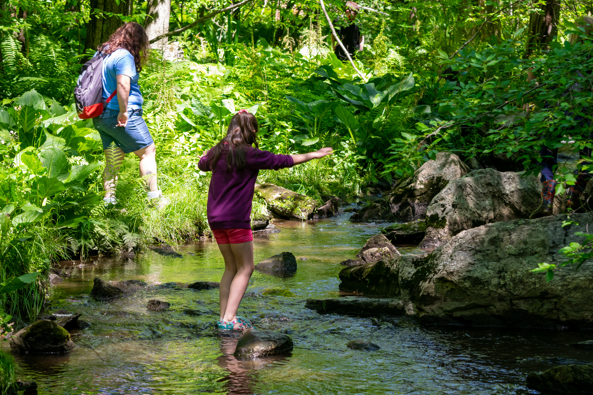 Two campers exploring brook, one stepping on stones in the water
