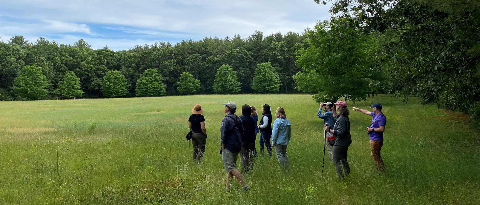 A group of adults birding in a meadow
