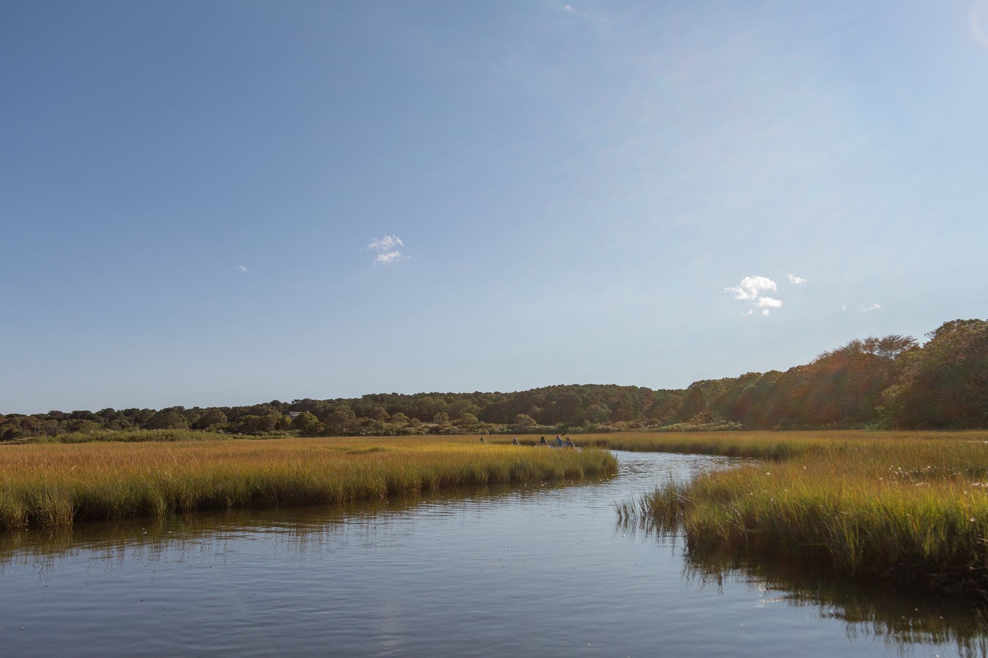 A water channel through grassy marsh.