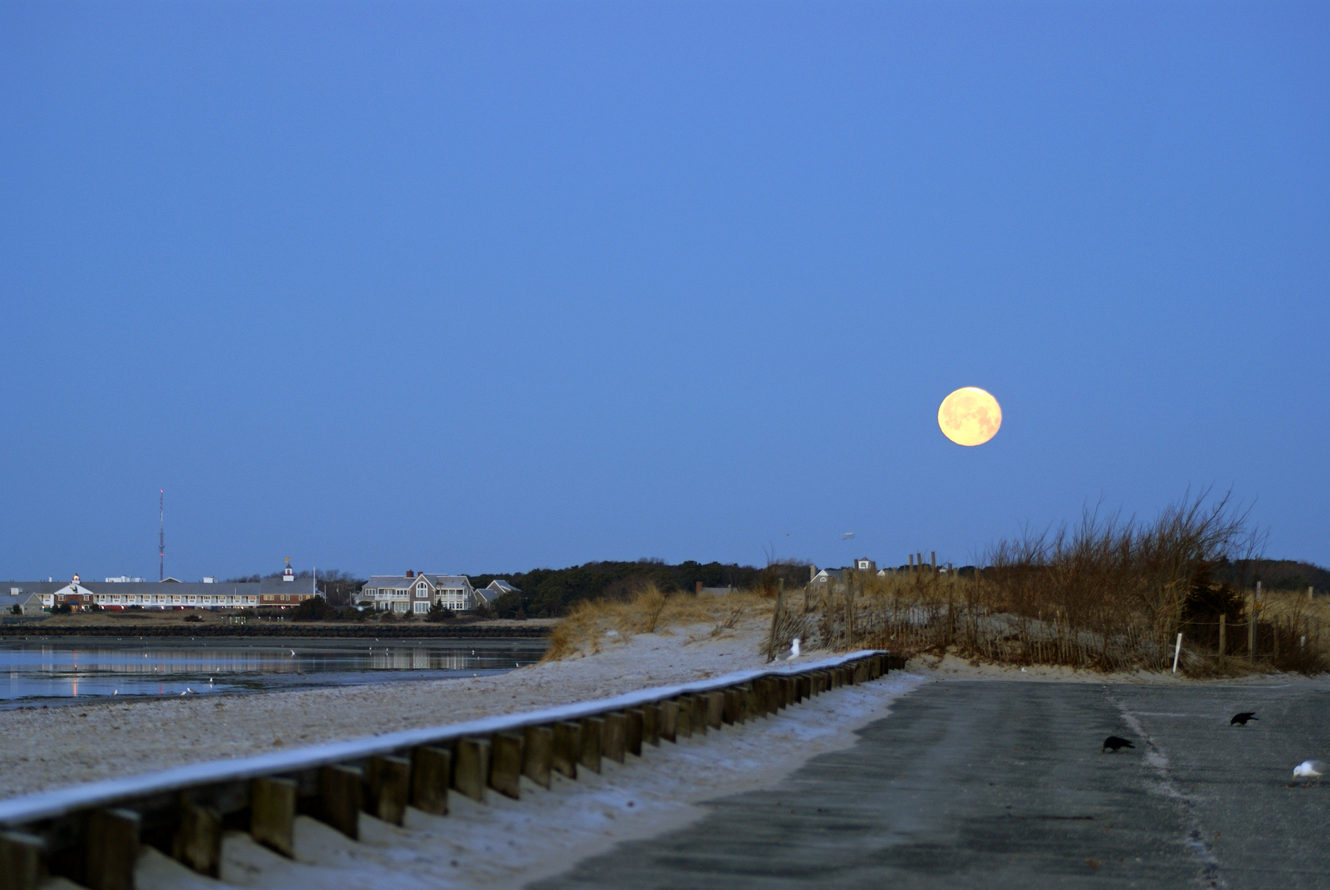 Full Moon over coastal area