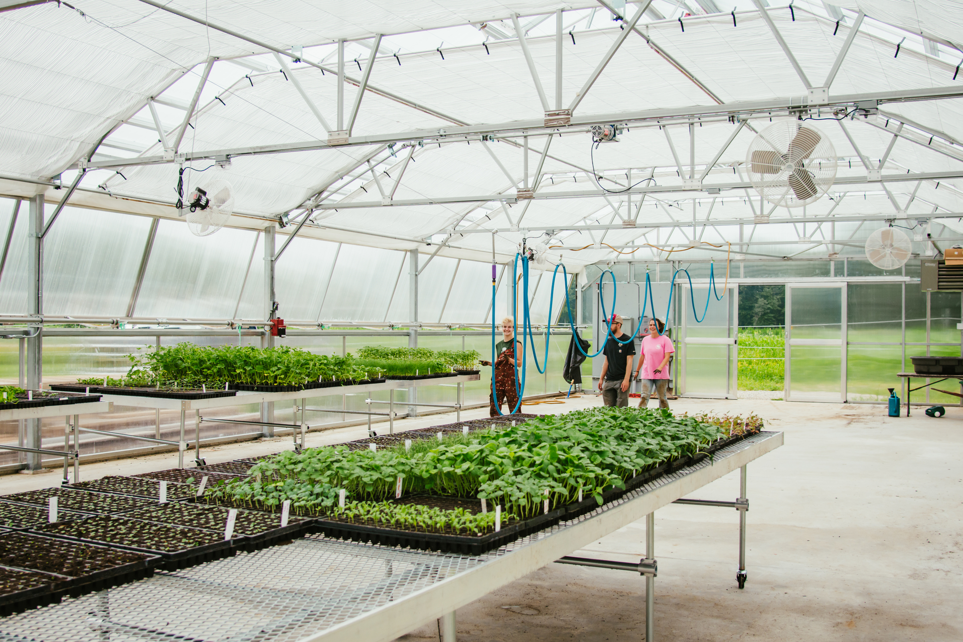 a small group walking through the new greenhouse