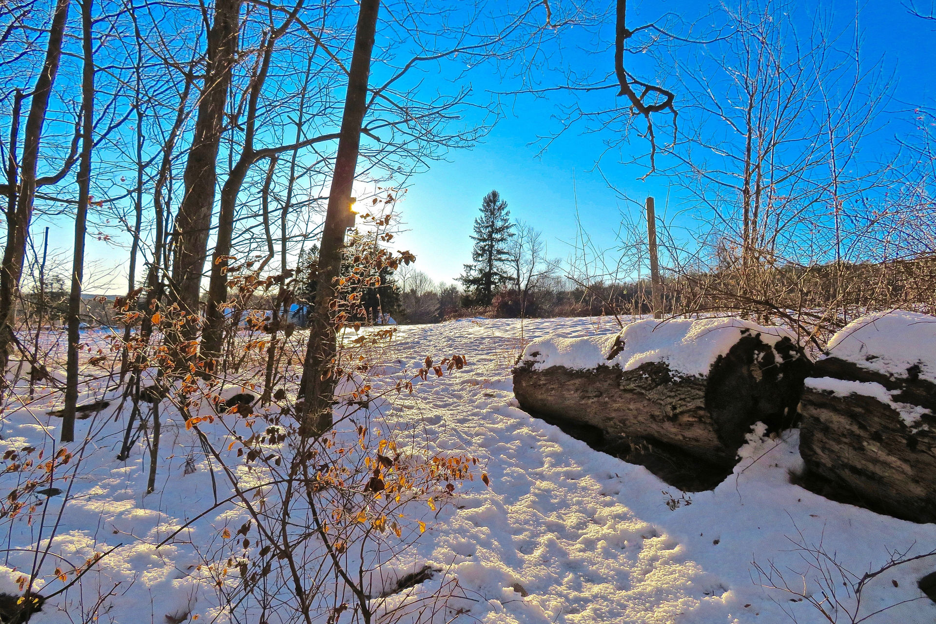 Wachusett Meadow in Winter, snow on ground blue sky