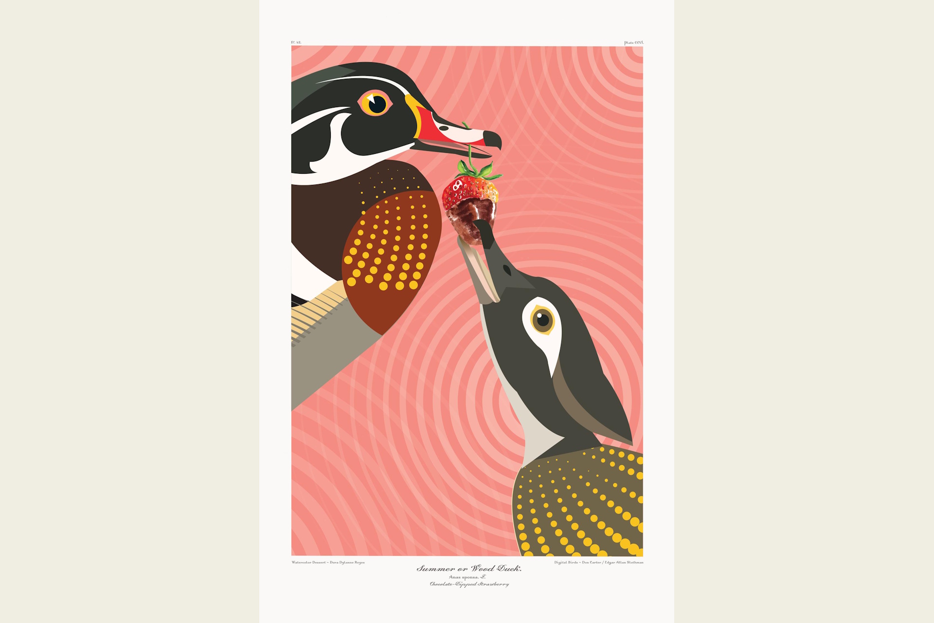 Illustration of two ducks sharing a strawberry