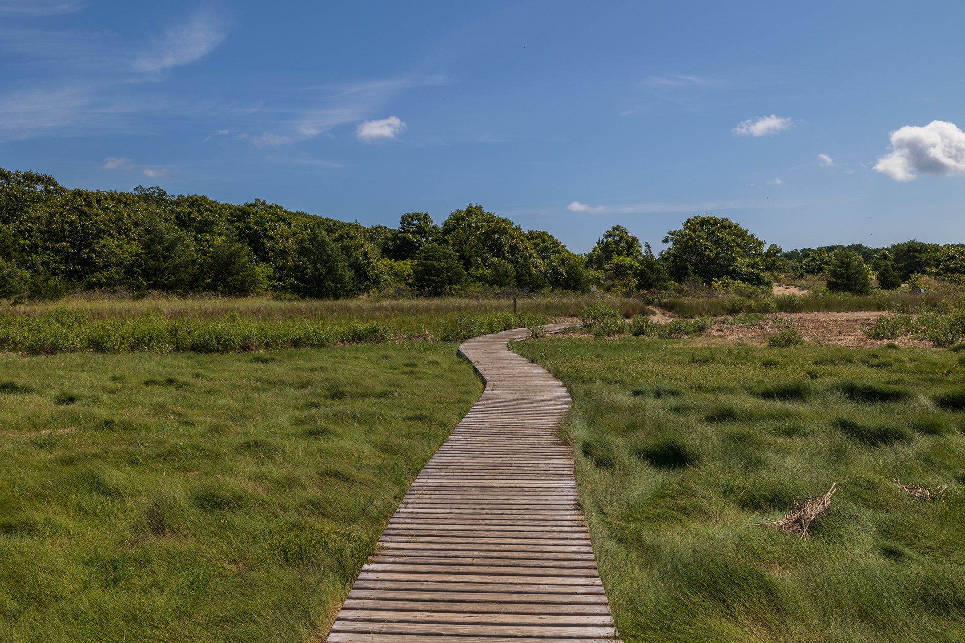 boardwalk trail through a grassy meadow