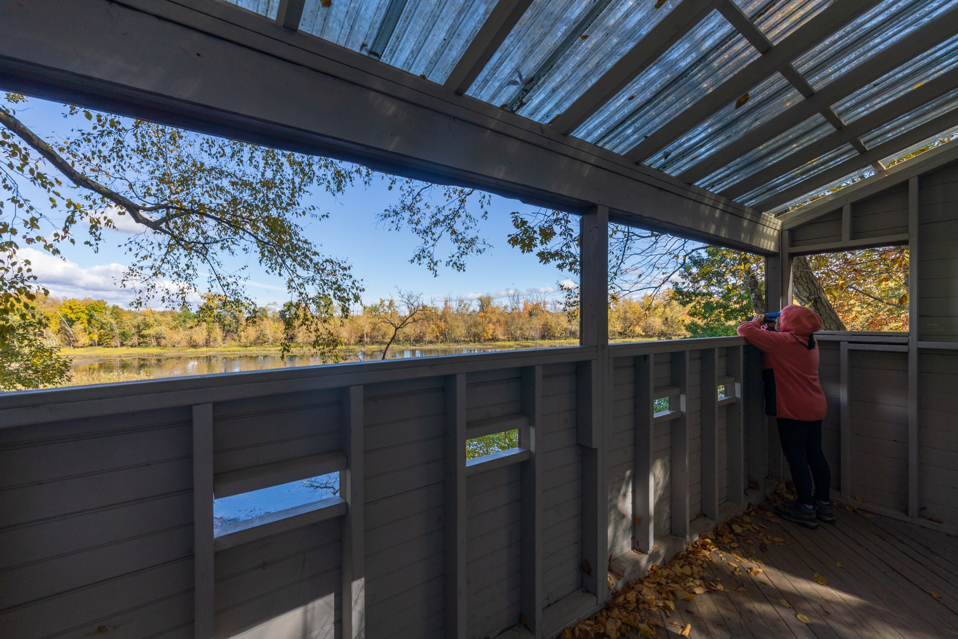 inside view of wildlife blind