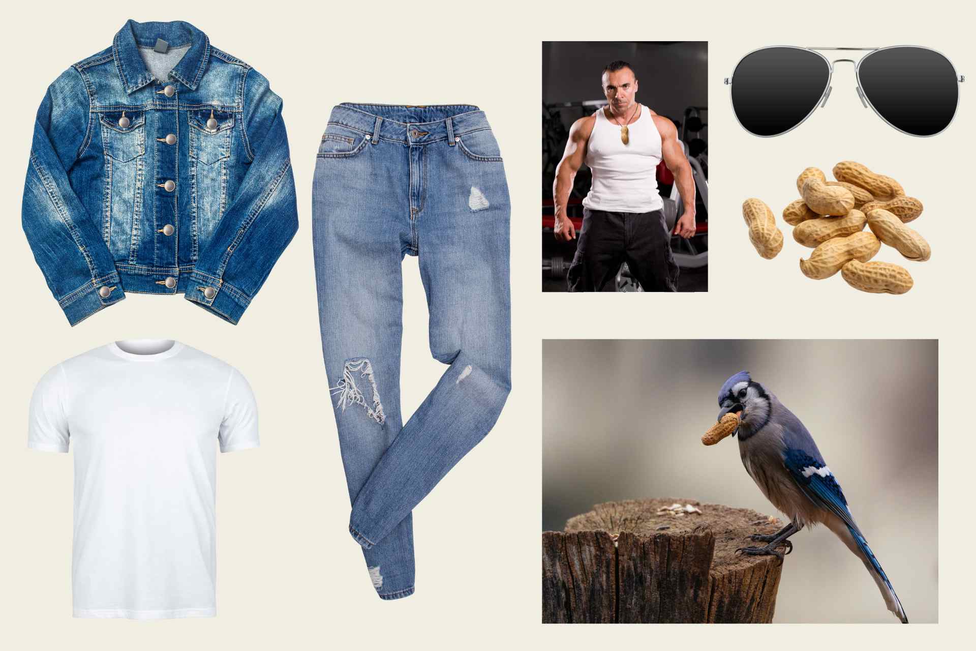 Blue Jay Halloween Costume Starter Pack