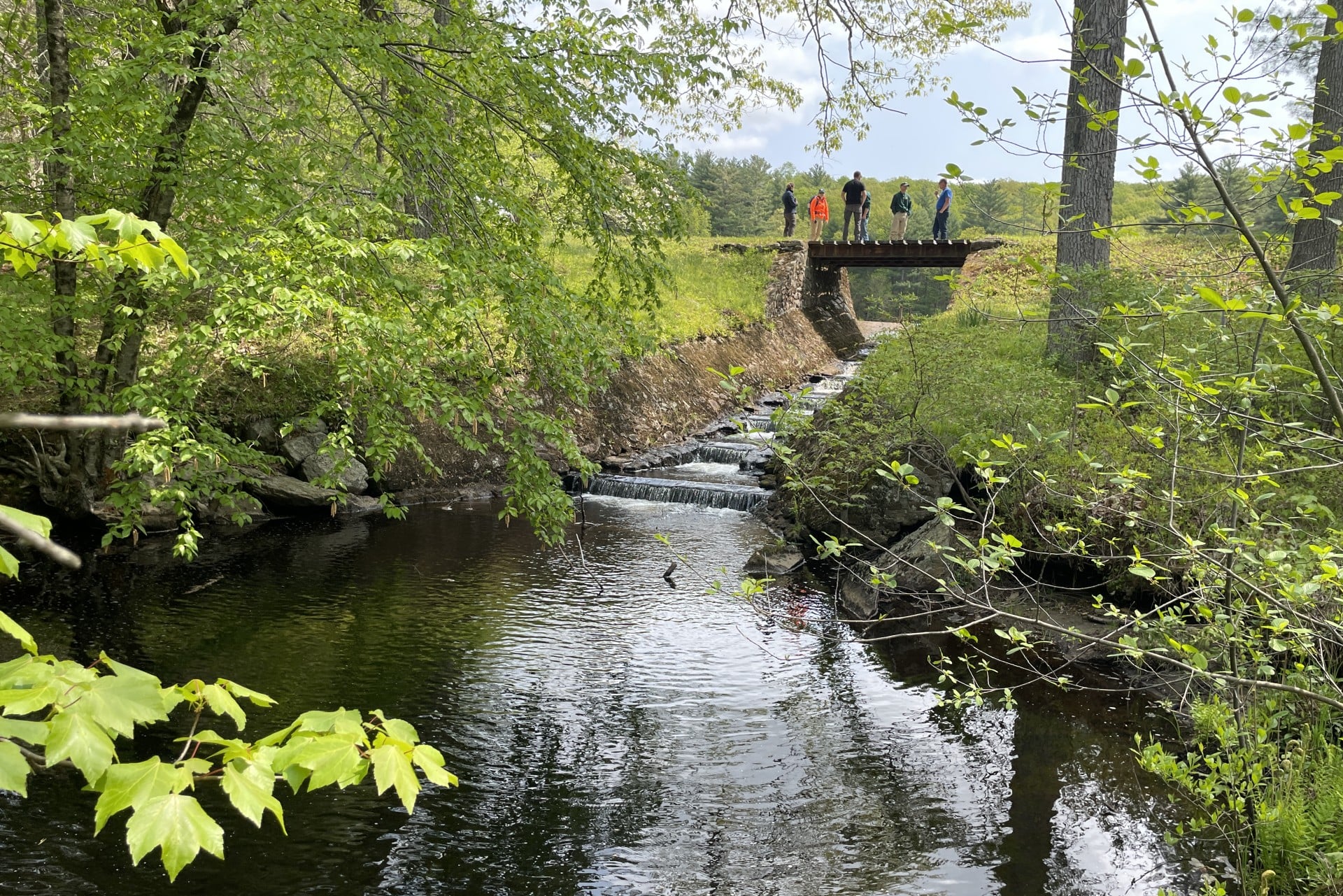 Folks walking over bridge at vinica brook