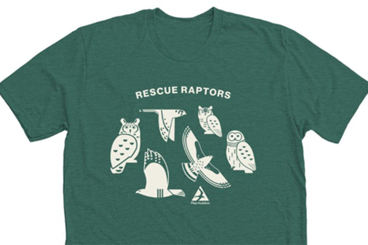 Graphic of green t shirt with raptors on it with the words rescue raptors