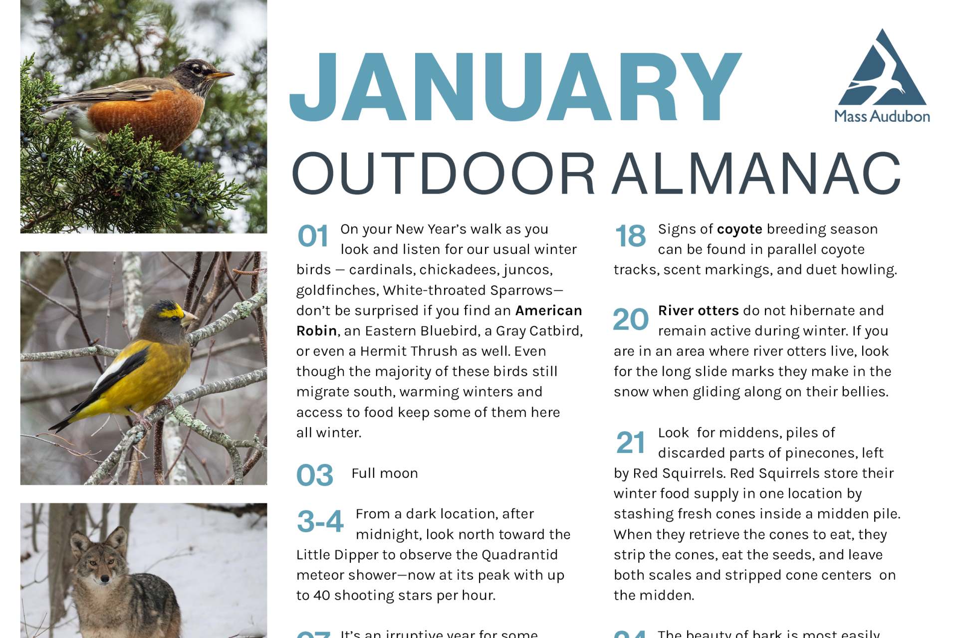 preview of january 2025 outdoor almanac