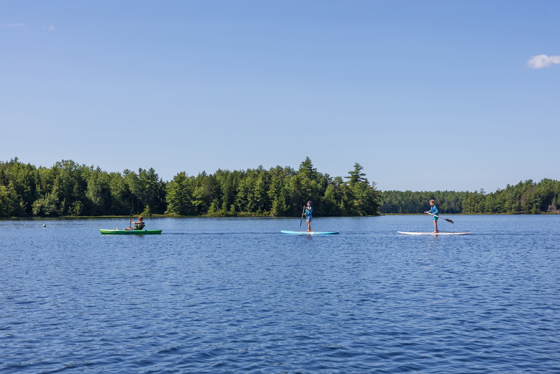 people paddleboarding on water
