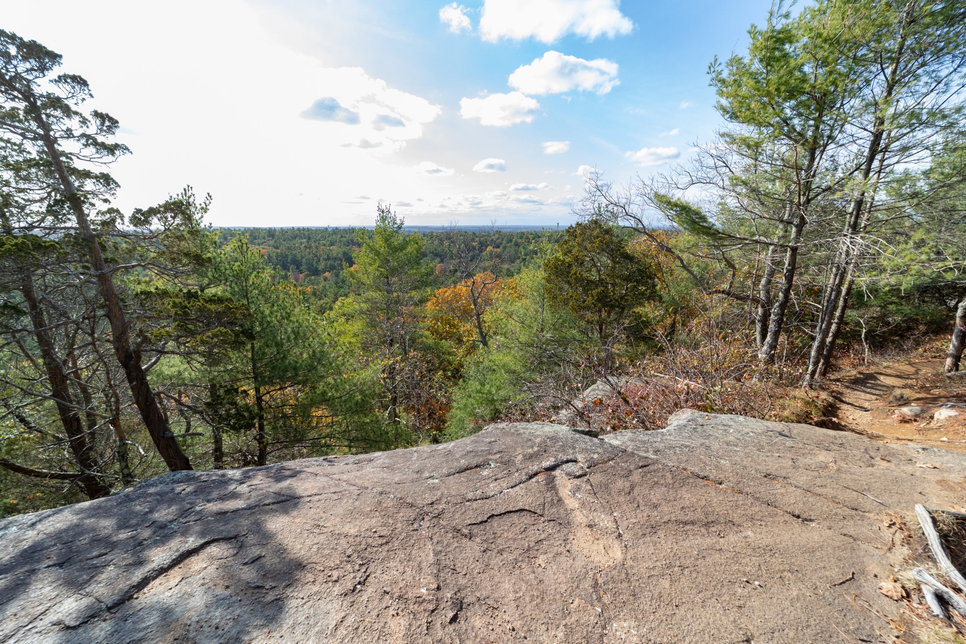 view from top of Moose Hill bluff