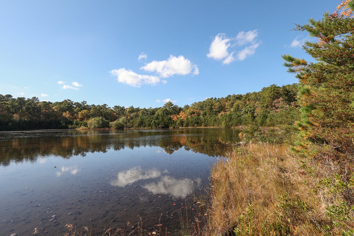 Pond with cloud reflections and a little fall foliage